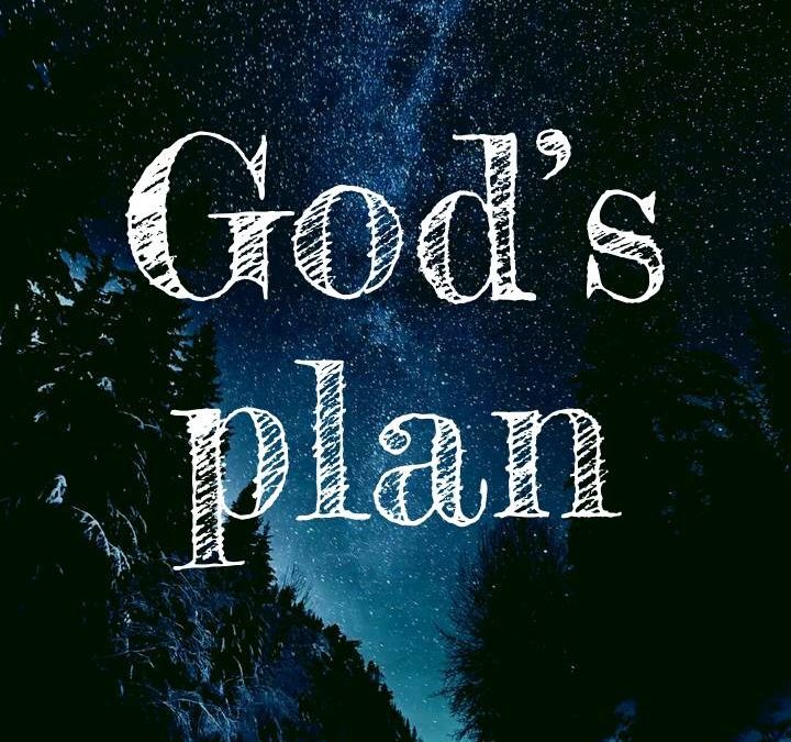 “His Plan”